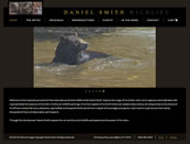 Daniel Smith Wildlife
